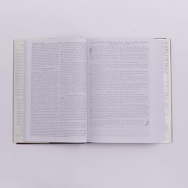 The Orthodox Study Bible, Hardcover: Ancient Christianity Speaks to Today's World